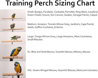 Parrot Training Perch Stand - Image 4