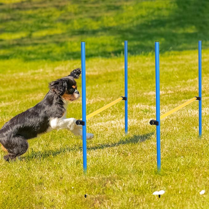 8 Set Dog Agility Jump Adjustable Dog Agility Hurdle Training Equipment - Image 5