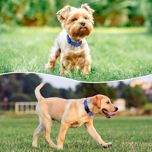 Reflective Dog Collar Padded - Image 2