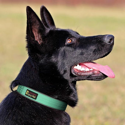 Plutus Pet Tactical Dog Collar, Reflective, Adjustable Heavy Duty Dog Collar - Image 6