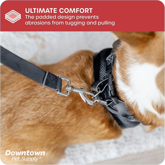 Downtown Pet Supply Step-in Dog Harness – No Pull, Adjustable Padded Mesh - Image 6