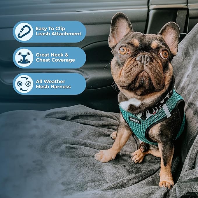 Best Pet Supplies Voyager Step-in Air Harness - Image 3