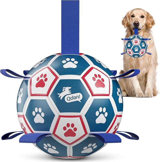 QDAN Large Dog Toys, 8 Inch Durable Balls by QDAN