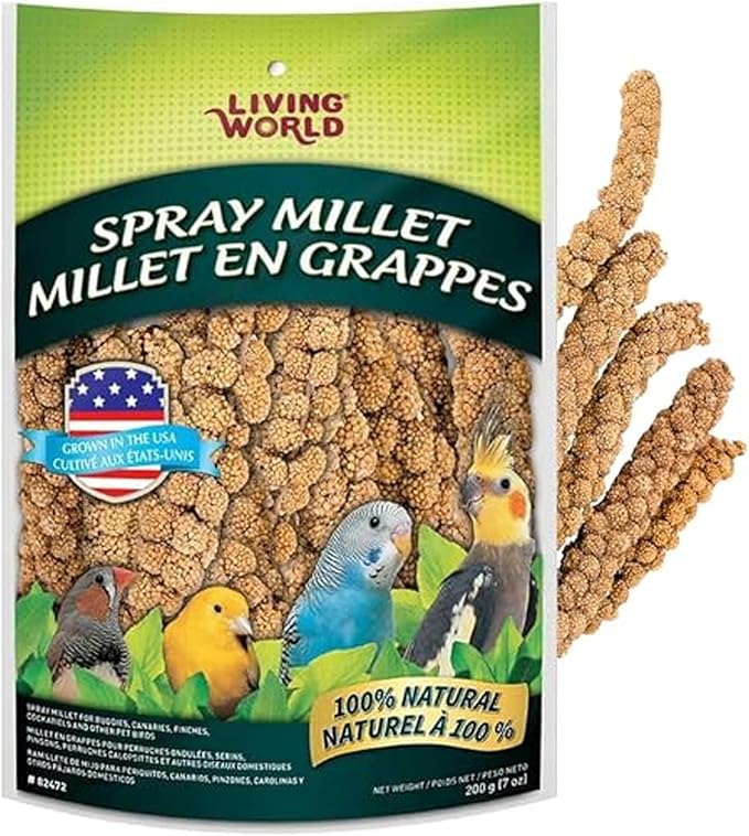 Living World – Millet Spray for Birds, 7 Oz – Premium Treat for Budgies by LivingWorld
