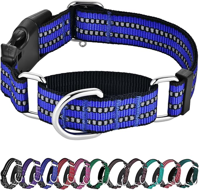Hikiko Martingale Collar for Dogs Reflective Nylon Dog Collar by Hikiko