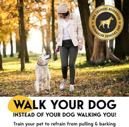 PetJett Prong Collar for Dogs - Image 2