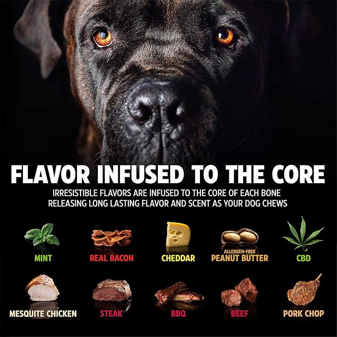 Pet Qwerks Nylon Stick BarkBone - Image 3
