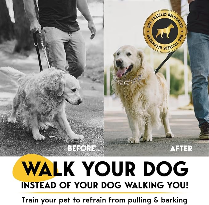 PetJett Prong Collar for Dogs Training Collar Adjustable Choke Collar for Dog - Image 2