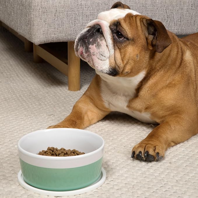 Waggo Habit Silicone Dog Placemat – Set of 2 Modern Heavyweight Silicone Dog - Image 9