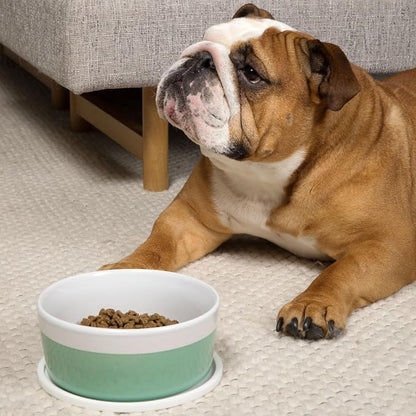 Waggo Habit Silicone Dog Placemat – Set of 2 Modern Heavyweight Silicone Dog - Image 9