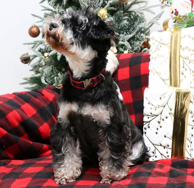 Unique style paws Christmas Dog Collar Metal Buckle Red Black Plaid Puppy - Image 4