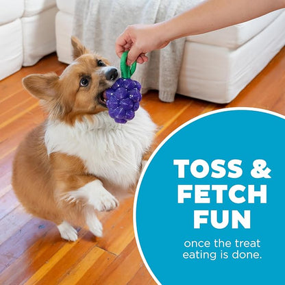Outward Hound Dental Grapes Dog Toy & Treat Stuffer, 6″ x 3″ Grape-Scent - Image 5