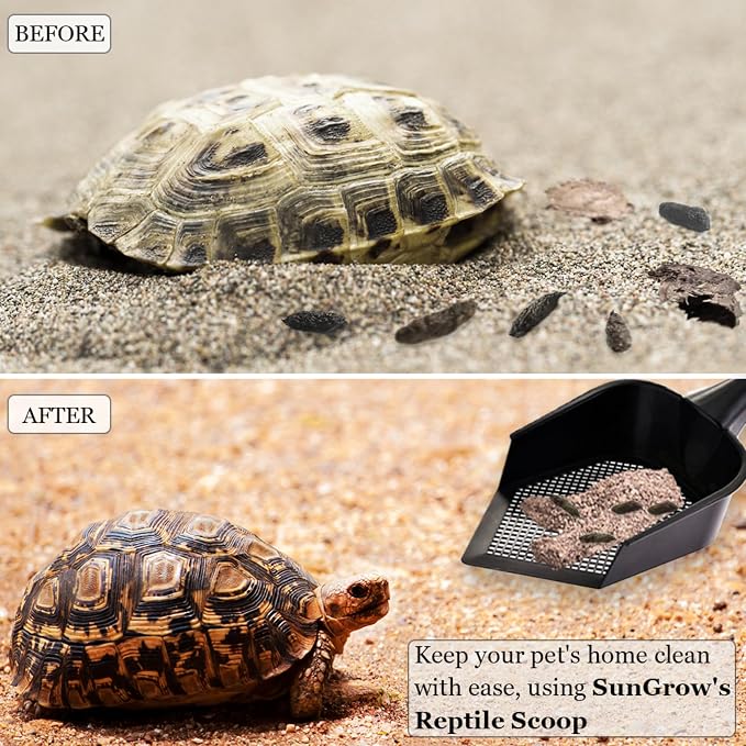 SunGrow Reptile Litter Scoop, Pointed Edge - Image 4