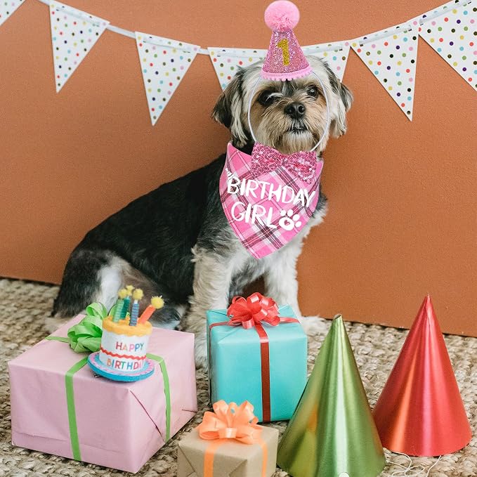 STMK Dog Birthday Outfits - Image 7