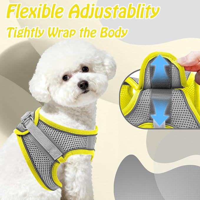 AIITLE Small Harness for Puppy - Image 7
