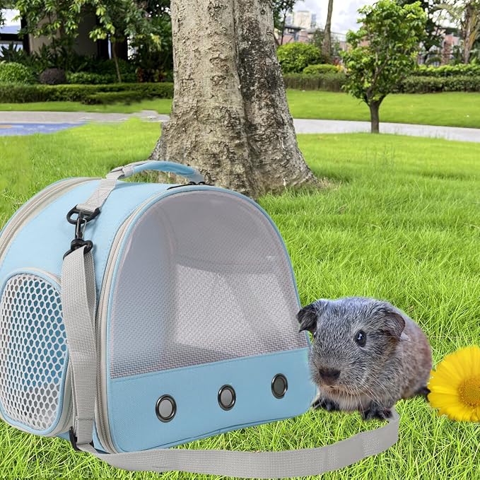 Ventilation Cage, Bearded Dragon Travel Carrier, Guinea Pig Carrier, Guinea Pig - Image 6