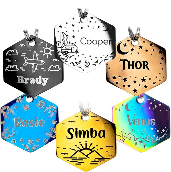 Personalized Dog Tag with 5 Lines of Custom Deep Engraved Durable Stainless by PetANTastic
