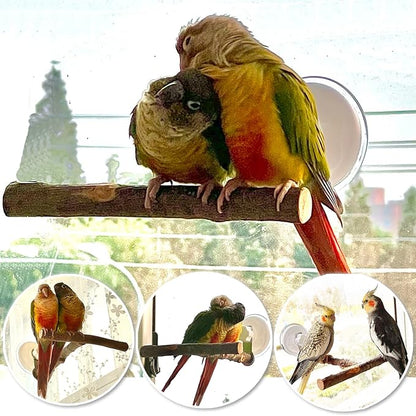 Portable Bird Perch Stand- T-Shaped Natural Apple Wood - Image 4