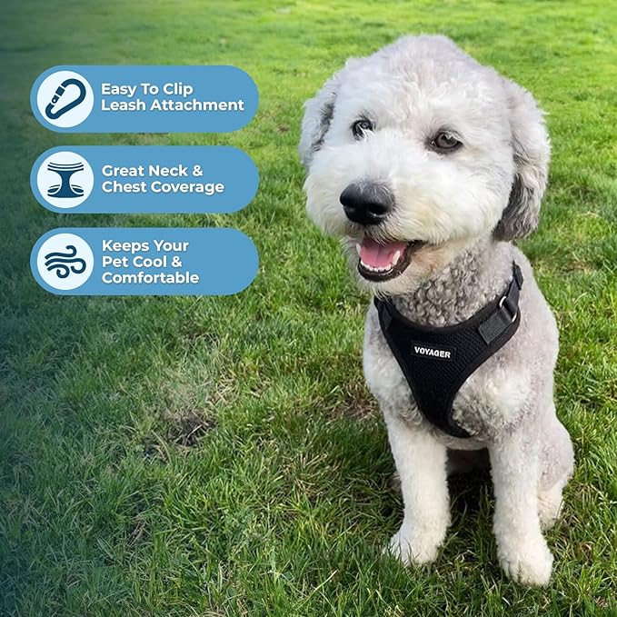 Voyager Step-in Pet Harness - Image 3