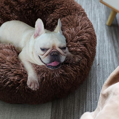 Calming Donut Dogs Beds for Small Dogs Washable, 23inch Plush Round Pet Bed for - Image 6
