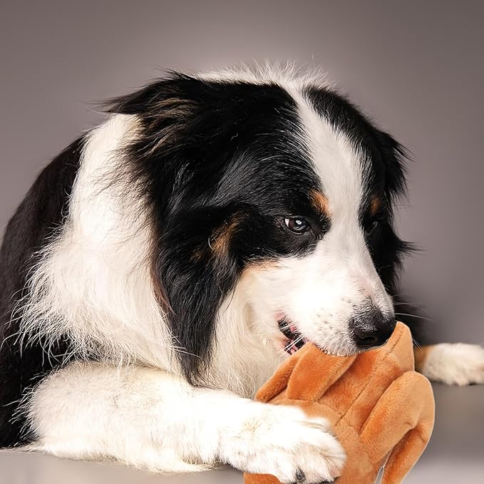 Puppy Chew Toys, Cute Durable Fabric Interactive Small Dog Toy, Indestructible - Image 4
