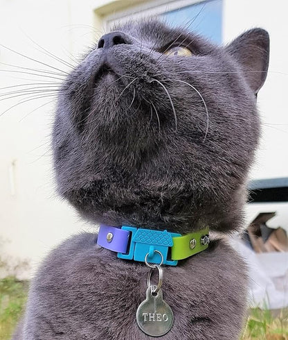 Kittyrama Cat & Kitten Collar - Image 4