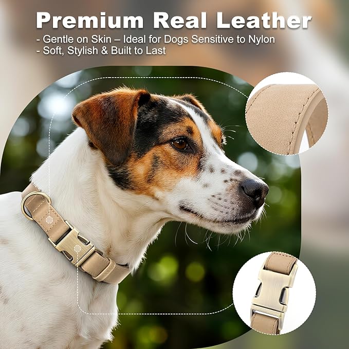 Plutus Pet Genuine Leather Dog Collar – Adjustable Pet Collar - Image 3