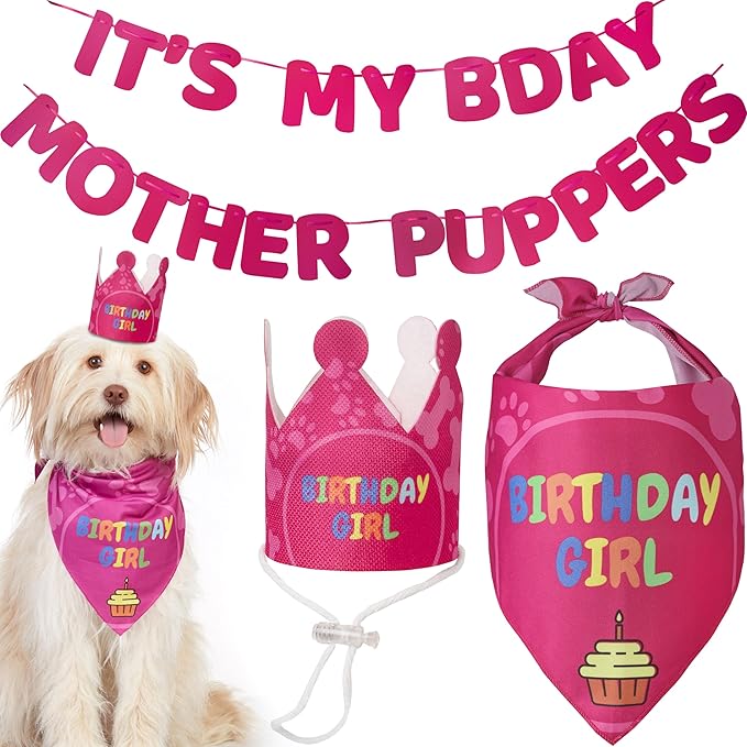 Dog Birthday Party Supplies by OdiStyle