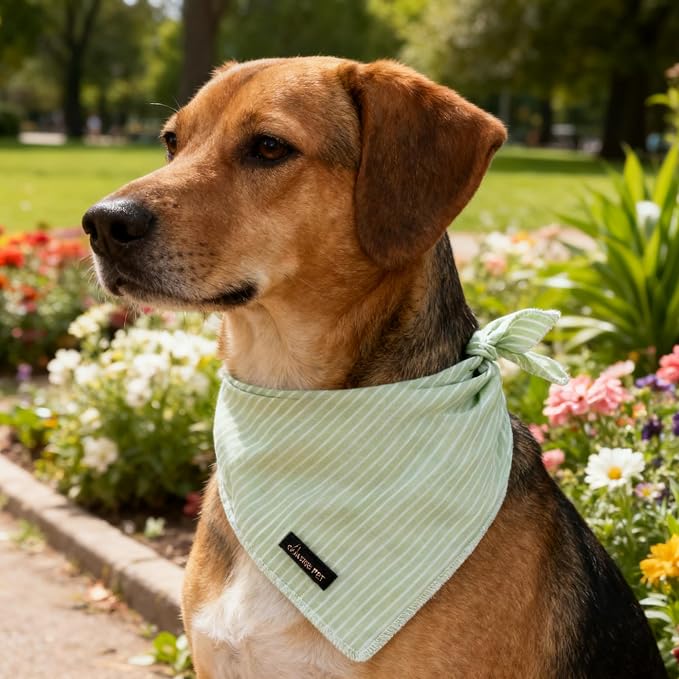 ARING PET Summer Dog Bandana, Cute Green Bandanas, Comfortable Pet Scarf - Image 5