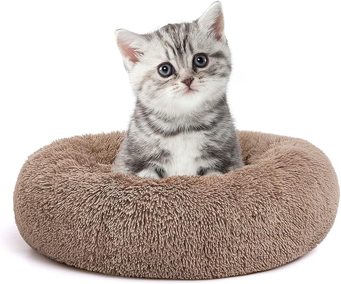 MIXJOY Calming Cat Beds for Indoor Cats, Fluffy Small Cat Cuddler, Anti-Anxiety by MIXJOY