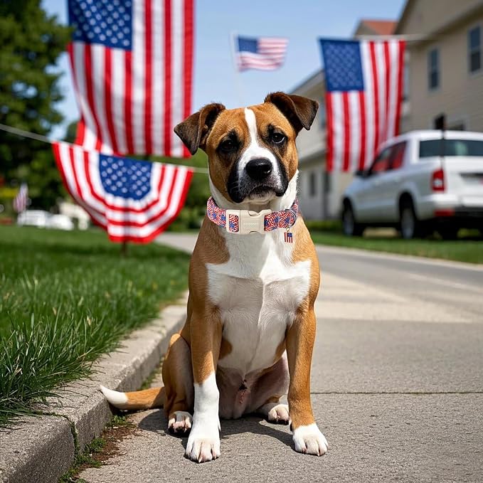 DOGWONG American Flag Dog Collar, Patriotic Independence Day Dog Collar Soft - Image 4