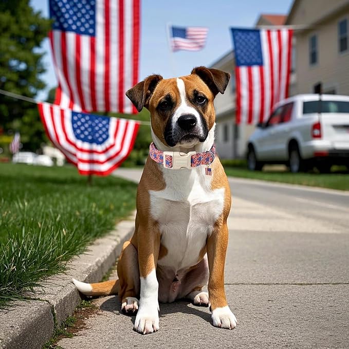DOGWONG American Flag Dog Collar, Patriotic Independence Day Dog Collar Soft - Image 4