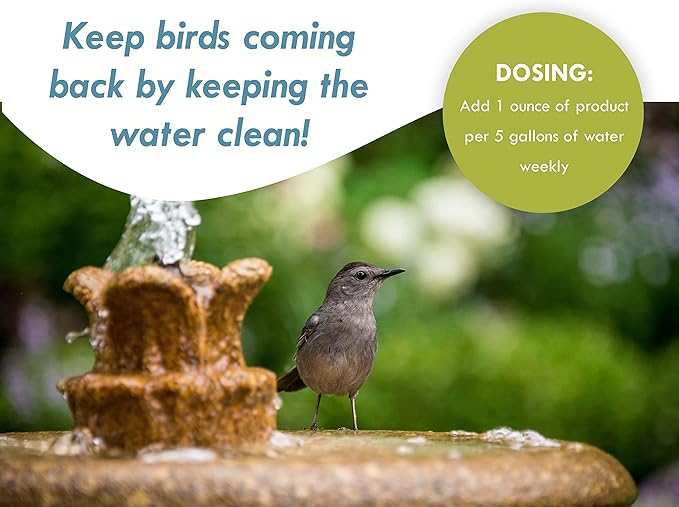 Sanco Bird Bath & Fountain Maintenance, Fast-Acting Enzyme-Based Formula Will - Image 3