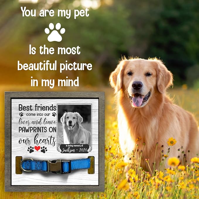 Customized Pet Sympathy Gifts Deceased Pet Picture Frame Losing A Dog Home Wall - Image 6