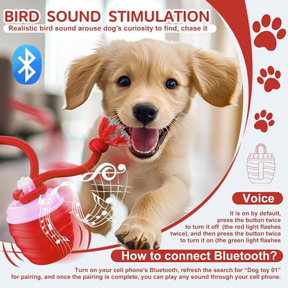 Interactive Dog Toy, Motion Activated Rolling Squeaky Ball - Image 4
