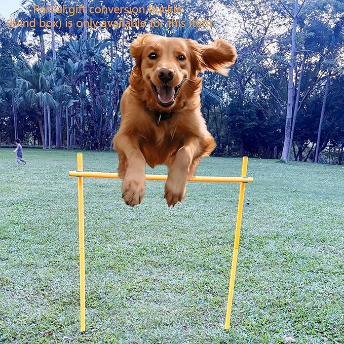 Dog Agility Equipment, Agility Poles, Dog Jumps, Outdoor Obstacle Course - Image 4