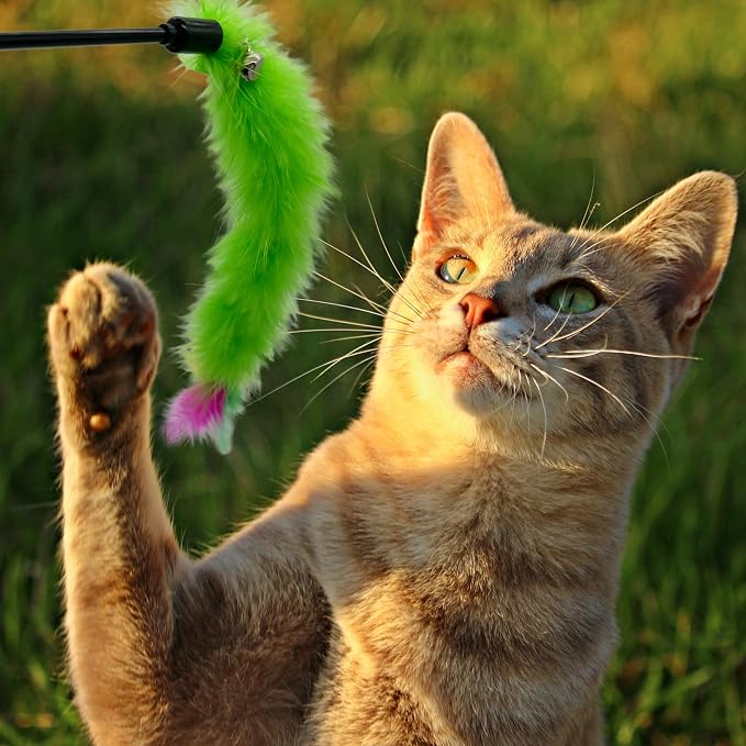 Cat Wand Feather Toys, 6 Pieces Interactive Cat Feathers Teaser Toy - Image 6