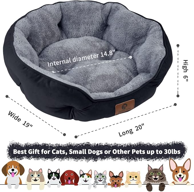 Asvin Small Dog Bed for Small Dogs, Cat Beds for Indoor Cats, Pet Bed for Puppy - Image 3