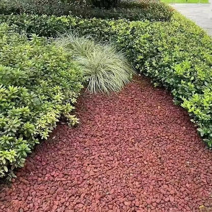 2LB Succulent and Cactus Gravel Pebbles, 1/5 Inch Natural Decorative Polished - Image 7