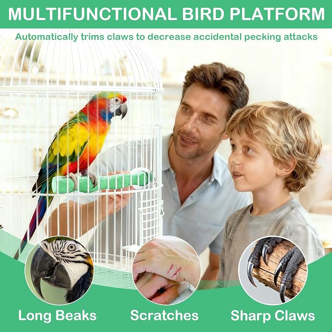 2PCS Bird Beak Grinding Stone, Anti-Slip Parrot Nail Trimming Stick, Parrot - Image 7