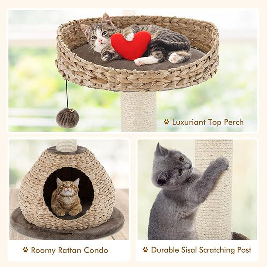 PETSITE Modern Cat Tree Tower, Paper Rope Natural Bowl Shaped - Image 2