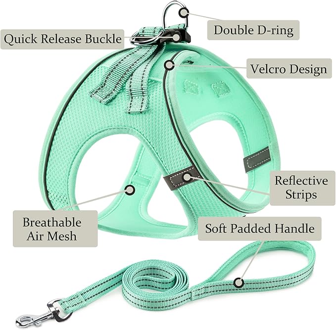Dog Harness with Leash Set, No Pull Adjustable Reflective Step-in Puppy Pet - Image 2