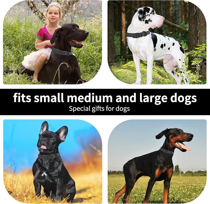 lynxking Dog Collar Soft Padded Breathable Cotton Solid Color Strong Adjustable - Image 5