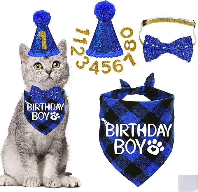 STMK Cat Birthday Decorations, Cat Birthday Hat by STMK