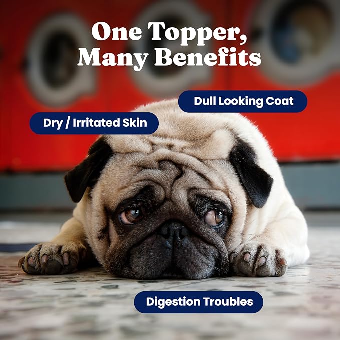 Solid Gold Cat & Dog Multivitamin Powder - Image 2