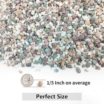 5LB Succulent and Cactus Gravel Pebbles, 1/5 Inch Natural Decorative Polished - Image 2