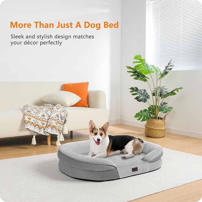 Dwanton Orthopedic Dog Bed for Medium Dogs - Image 2