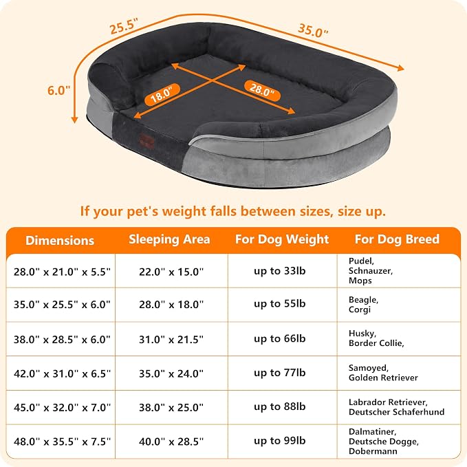 Dwanton Orthopedic Dog Bed for Medium Dogs - Image 4