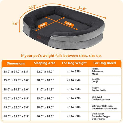 Dwanton Orthopedic Dog Bed for Medium Dogs - Image 4