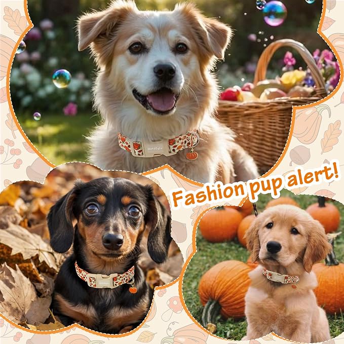 Fall Dog Collar – Halloween & Thanksgiving Dog Collars - Image 3